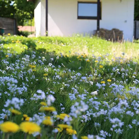 Luxe tent Langeland Glamping Rudkøbing