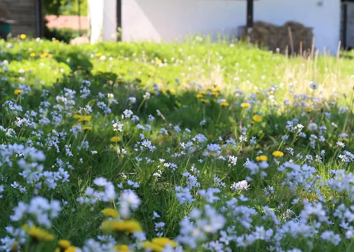 Lyxtält Langeland Glamping Rudkøbing